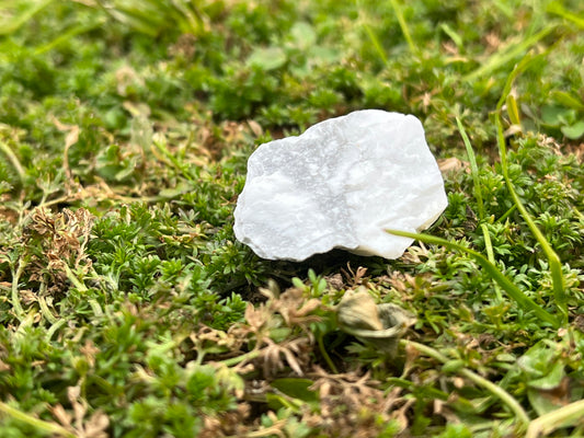 A piece of raw howlite set in moss.