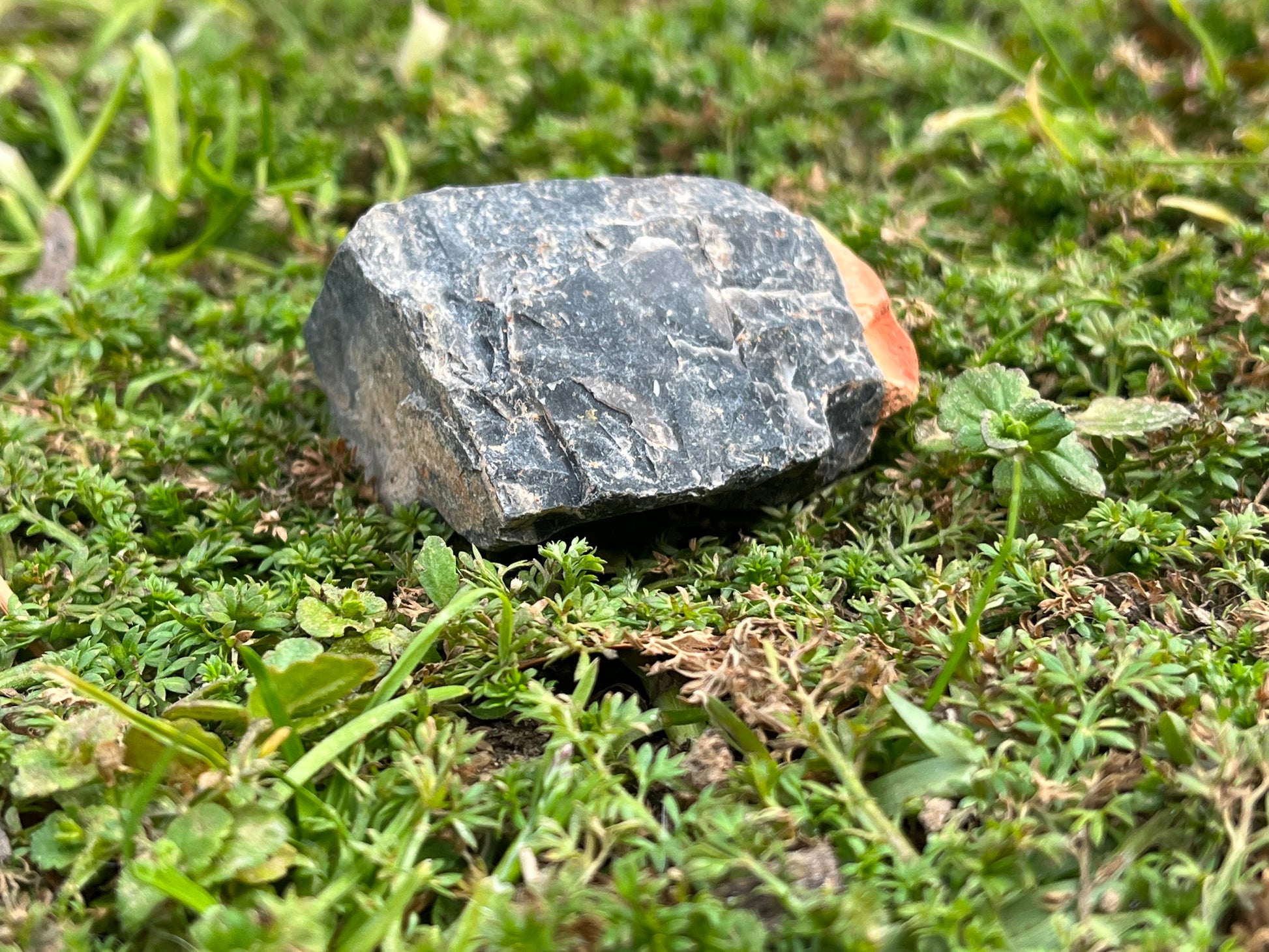 A piece of raw black onyx in a patch of moss. The onyx was a red inclusion on the right side.