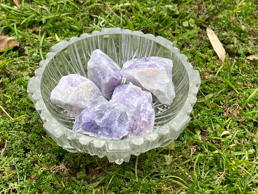 5 pieces of raw amethyst in a small, round, glass bowl. The bowl is sitting on some moss and grass.